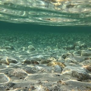 Meet your Posher, Ezra